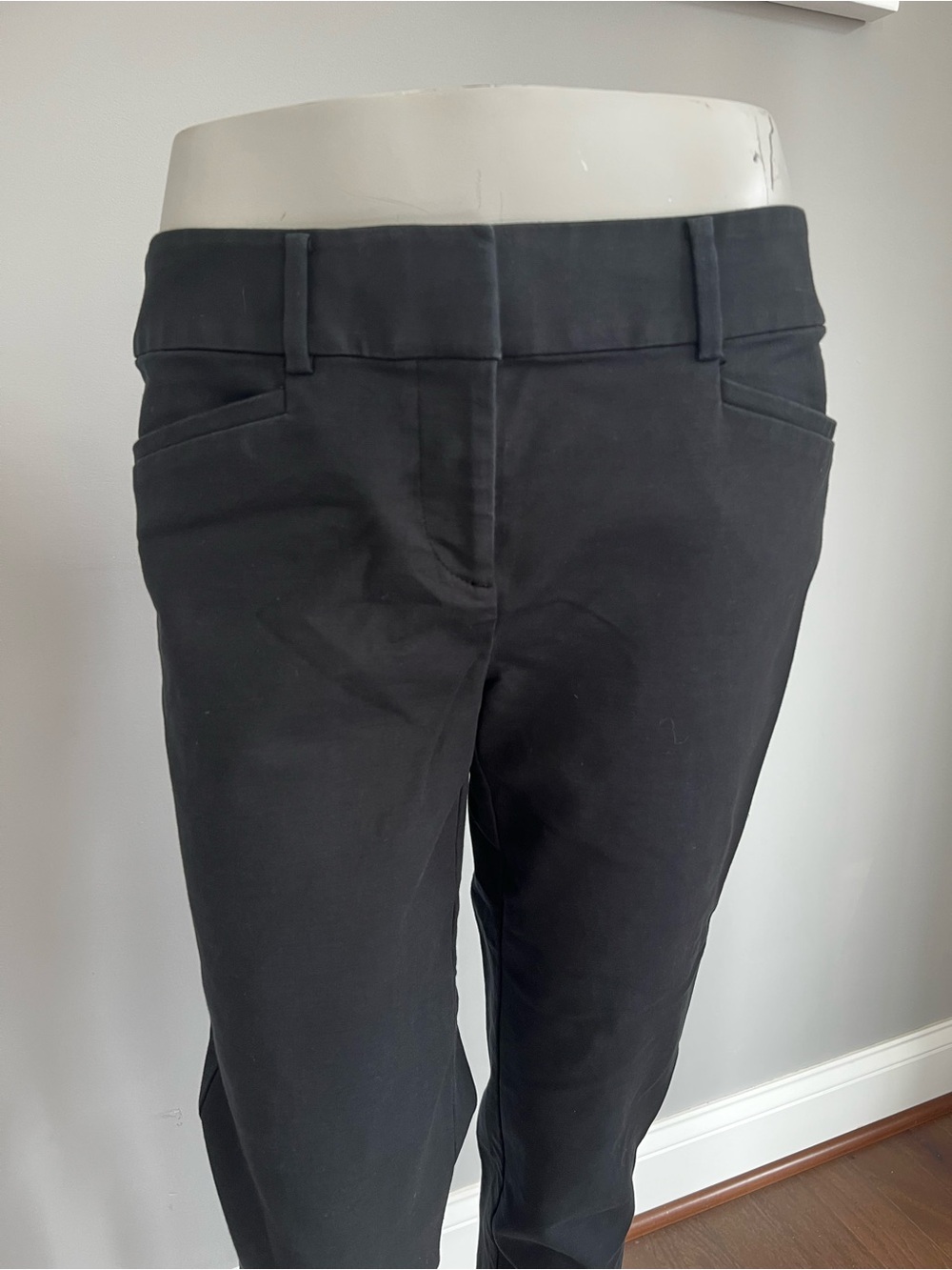 LOFT Marisa Riviera Crop Pant Bundle - Picture 8 of 16